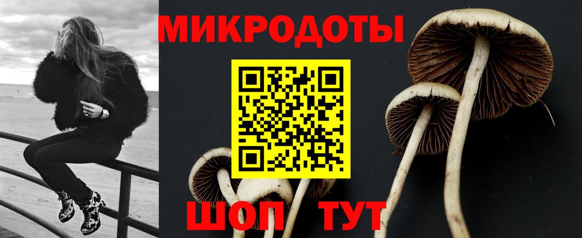 Псилоцибиновые грибы Magic Shrooms  закладки  Калач-на-Дону  Псилоцибиновые грибы Psilocybine cubensis  Вход с VPN 