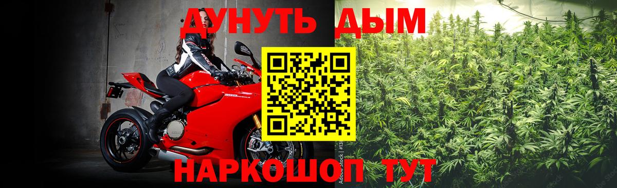 Бошки марихуана семена  Вход с VPN  Бошки марихуана семена  Калач-на-Дону  Бошки марихуана сатива 